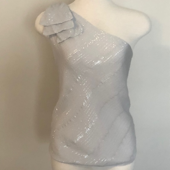 Like-New Club Monaco One-Shoulder Silver/Grey Top - Picture 2 of 14